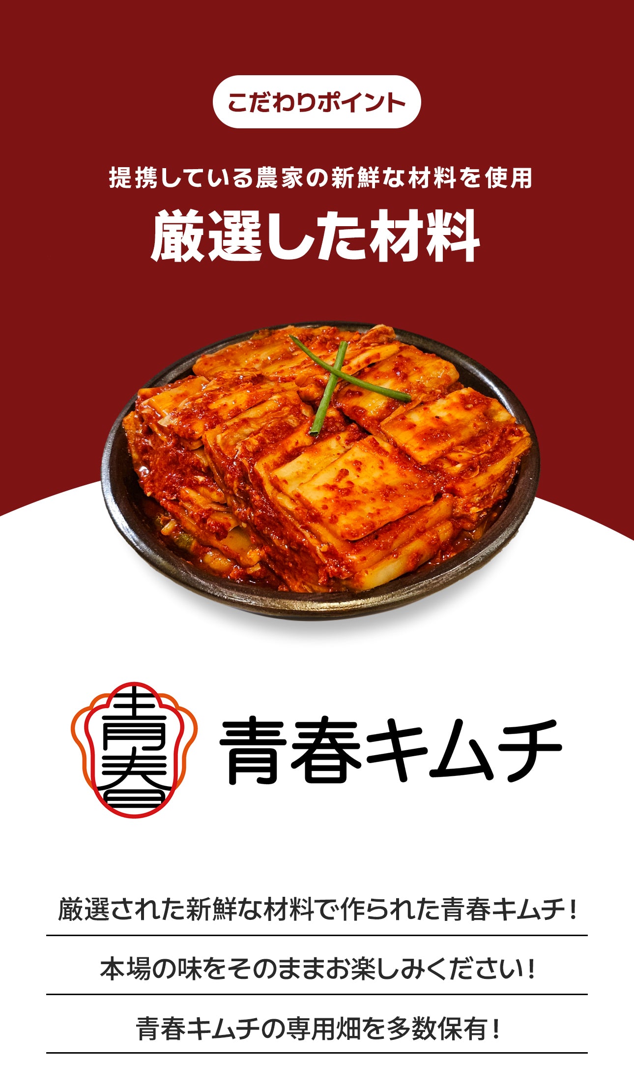 全国キムチグランプリ金賞!青春白菜500g / 絶品10種類から選べる / 本場韓国の極上のキムチ/手作り自家製キムチ