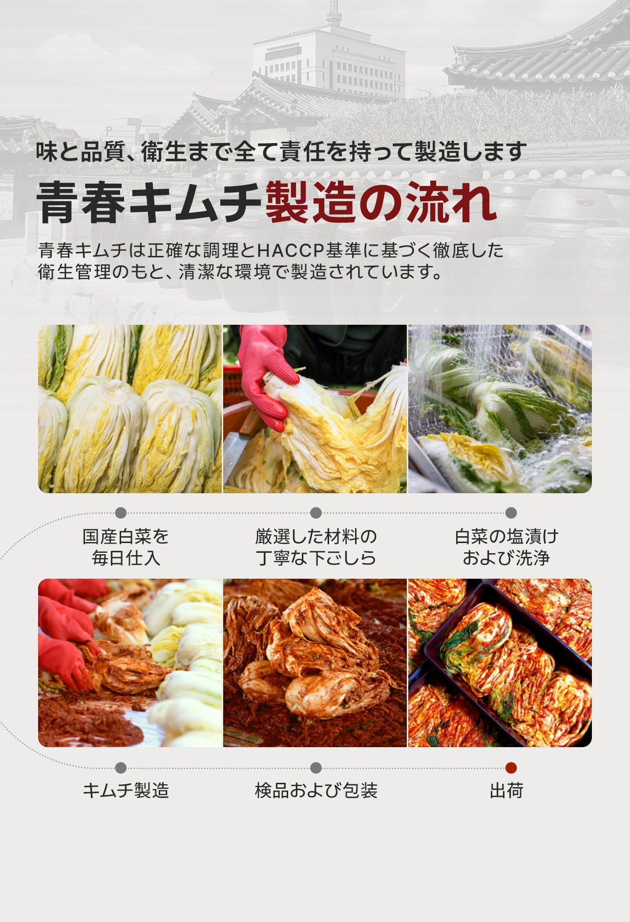 全国キムチグランプリ金賞!青春白菜500g / 絶品10種類から選べる / 本場韓国の極上のキムチ/手作り自家製キムチ