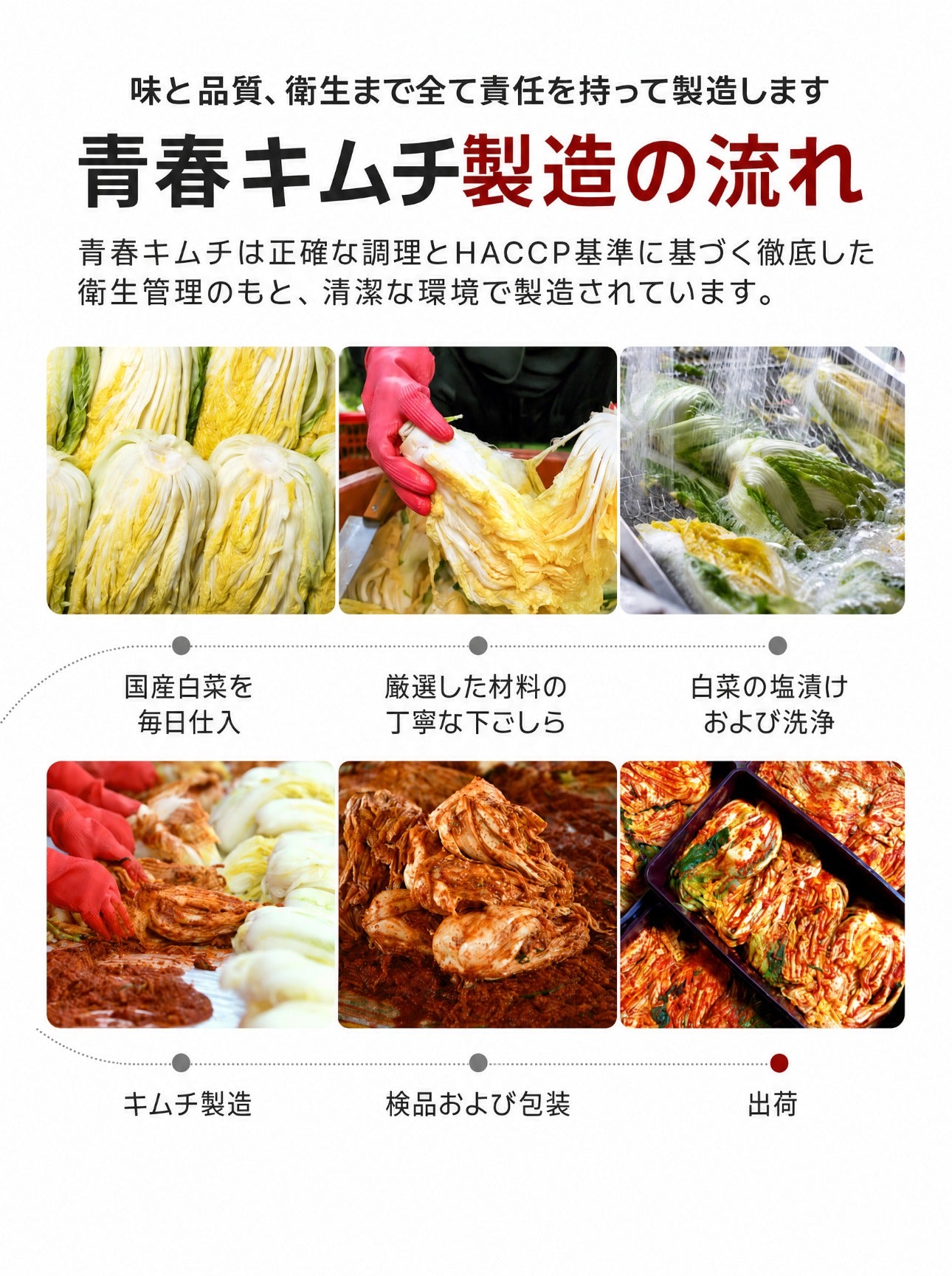 青春白菜キムチ 詳細ページ 17